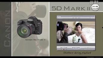 91pro国产,引领科技潮流的创新力量